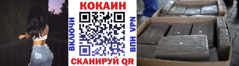 ОМГ ОМГ ONION  купить наркоту  Верхний Тагил  COCAIN FishScale 