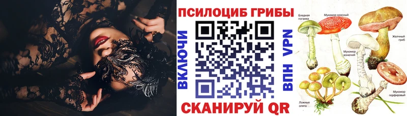 Галлюциногенные грибы Psilocybe  Верхний Тагил 
