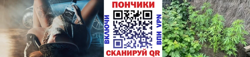 сколько стоит  hydra ТОР  Марихуана конопля  Верхний Тагил 